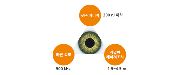 비쥬맥스 특징