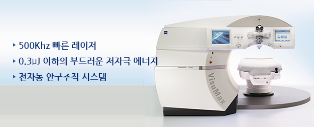 비쥬맥스